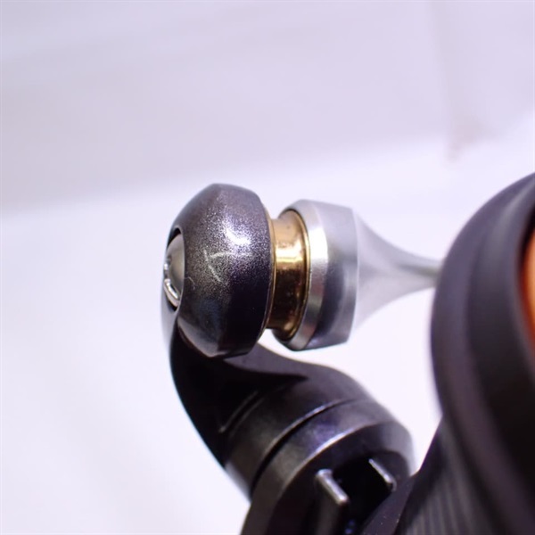 １４キャスティズム２５ＱＤ
